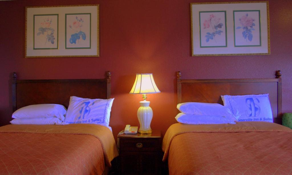 Somerville Inn And Suites Værelse billede